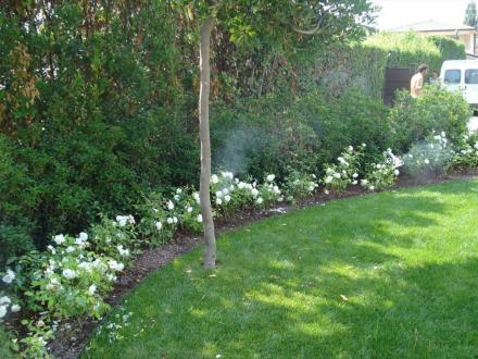 Ugelli nebulizzatori Zanzero nel giardino